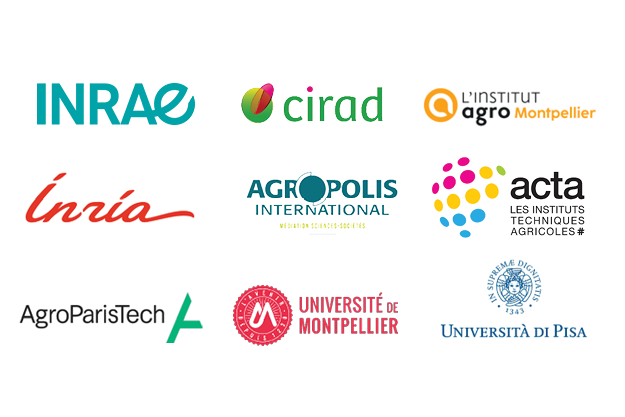 logos_org_ve
